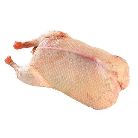 Fagy. Grillkacsa  A oszt. 2,3 kg