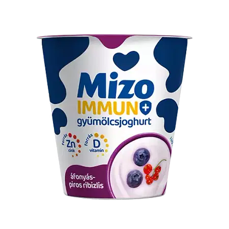 Mizo IMMUN+áfonya-p.ribizli joghurt 125g